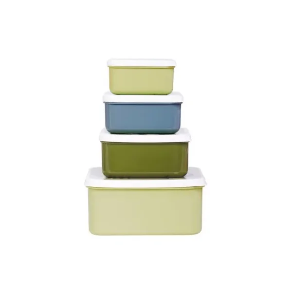 4 boites à goûter Dinosaures - A Little Lovely Company - Lunch box