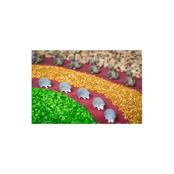 Bouteille Spy Forêt Petit Boum | Éveil Sensoriel Montessori