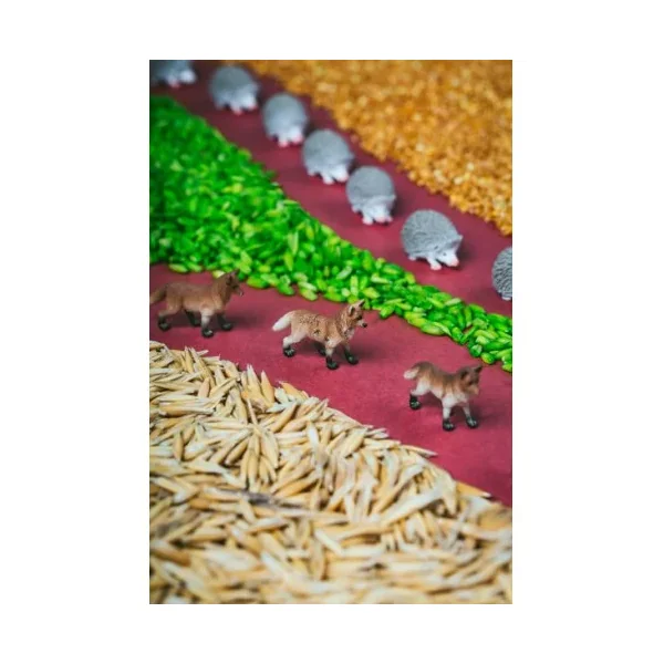 Bouteille Spy Forêt Petit Boum | Éveil Sensoriel Montessori