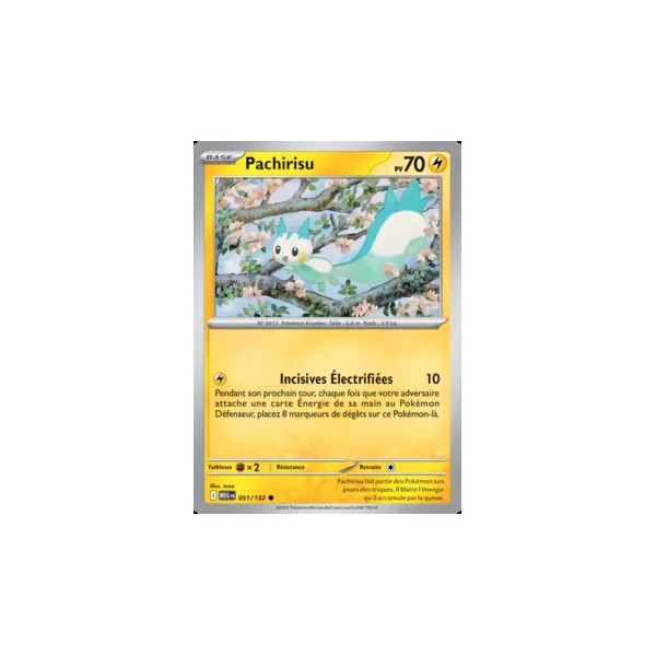 Carte Pokémon Pachirisu 051/132 – Méga-Évolution