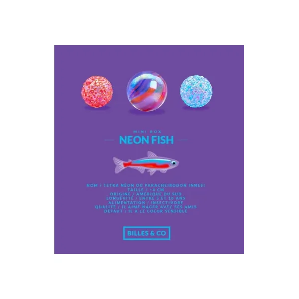 Coffret 25 Billes Neon Fish Billes & Co | Jeu de Billes Colorées