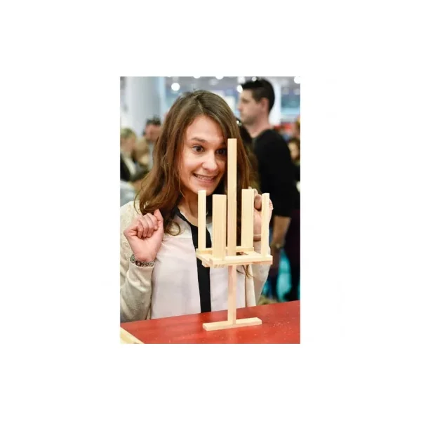 Coffret KAPLA Défi - Jeu de Construction et de Logique dès 8 ans