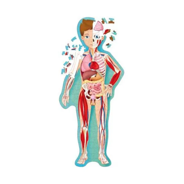 Coffret livre et puzzle Le Corps Humain - Sassi