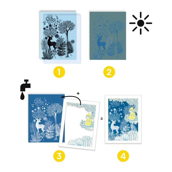 Cyanotype Au clair de la lune - Djeco