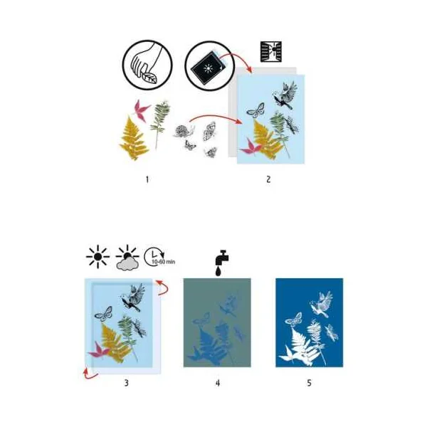 Cyanotype Kit de démarrage - Djeco - Activité créative