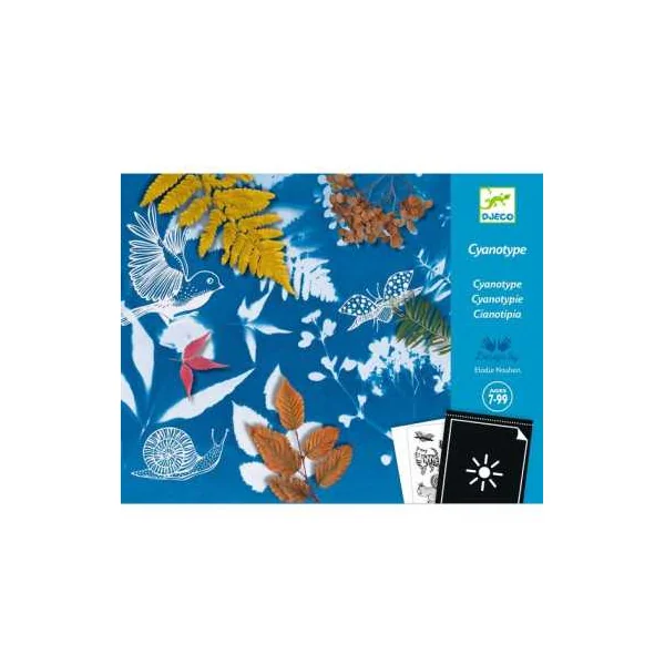 Cyanotype Kit de démarrage - Djeco - Activité créative