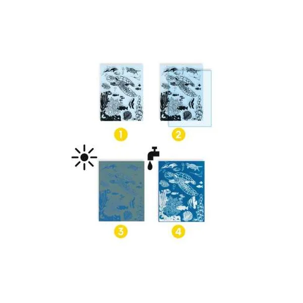 Cyanotype Outremer - Djeco - Activité créative