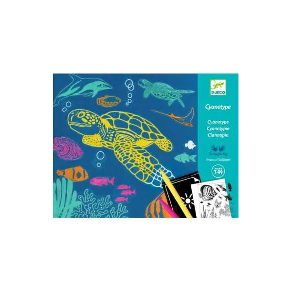 Cyanotype Outremer - Djeco - Activité créative