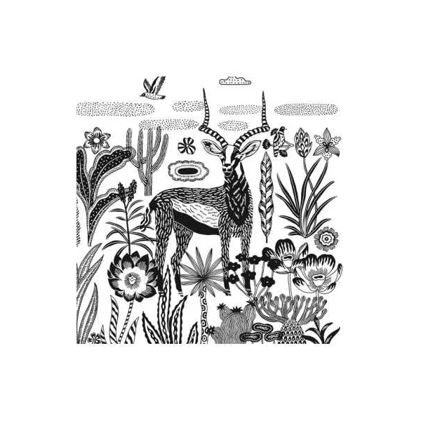 Cyanotype Savane nocturne - Djeco - Activité créative