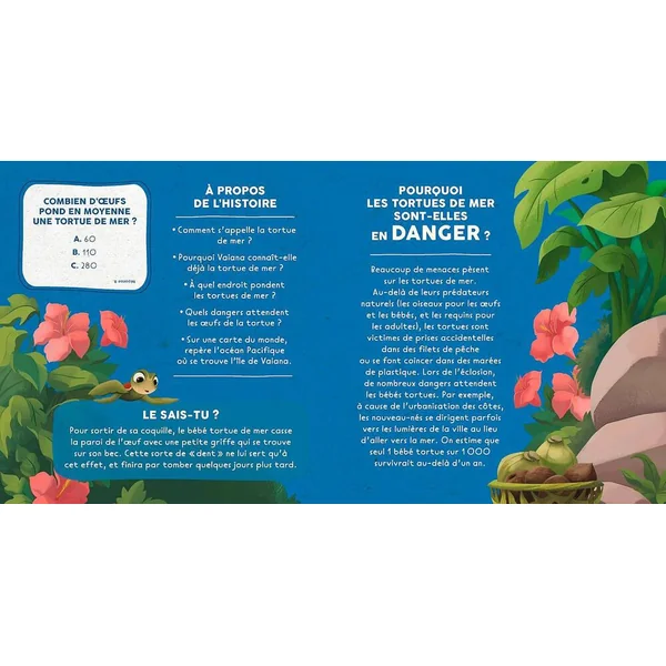 DISNEY - VAIANA - MON HISTOIRE POUR LA PLANETE - UN CHEMIN VERS LA MER