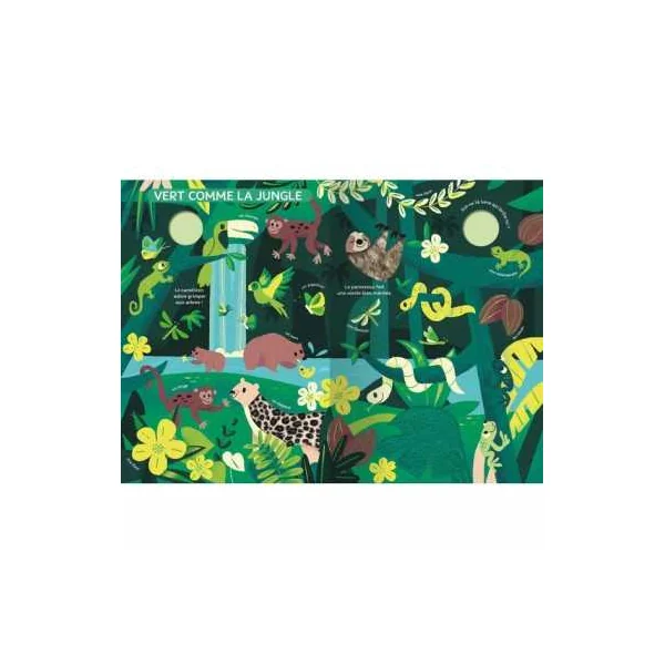 Mon très grand livre d'éveil Le monde des couleurs - Auzou