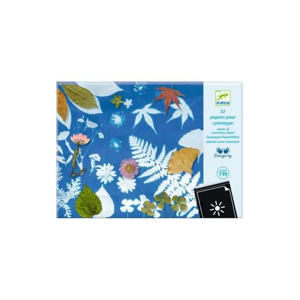 Papier pour Cyanotype - Djeco - Activité créative