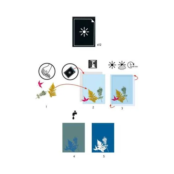 Papier pour Cyanotype - Djeco - Activité créative