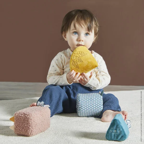 STIMULI - MES FORMES SONORES EVOLUTIVES - MULTICOLORE 17 CM